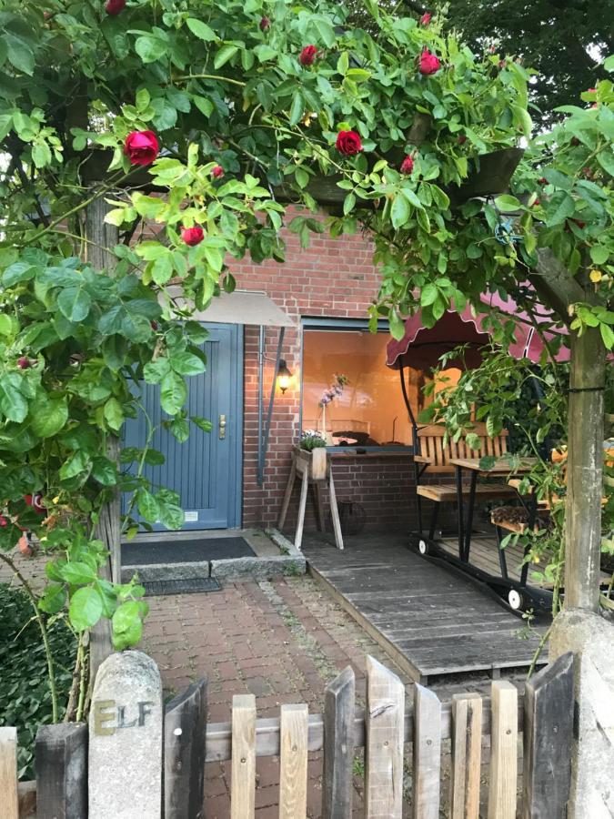 Dein Ferienhauschen Im Wendland Mit Schnellem Internet Und Kamin Leilighet Dannenberg Eksteriør bilde